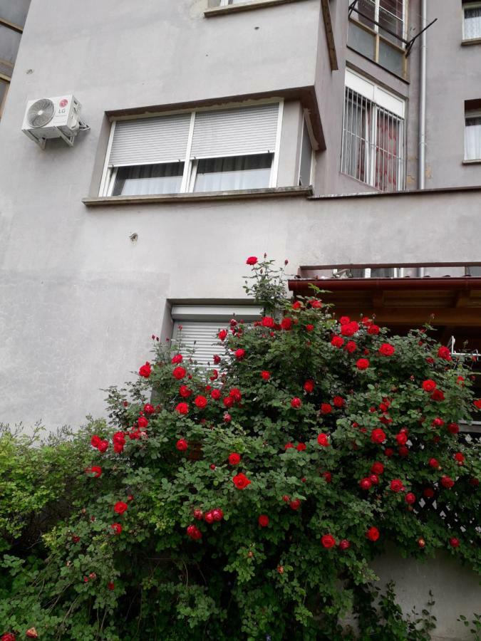 Apartments Lela Бихач Экстерьер фото